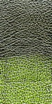 Green leather sample
